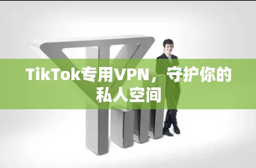TikTok专用VPN，守护你的私人空间