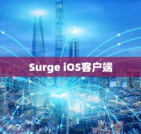 Surge iOS客户端