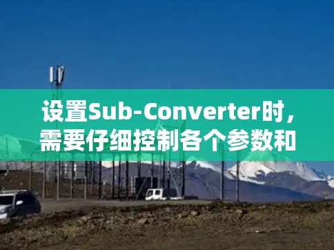 设置Sub-Converter时，需要仔细控制各个参数和选项，以确保兼容性、数据处理正确性和数据传输的高效性。以下是详细的步骤指南