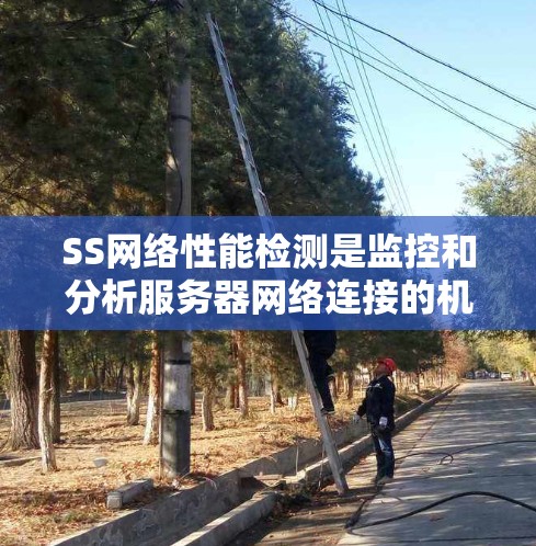 SS网络性能检测是监控和分析服务器网络连接的机制，确保服务器在运行时能够正常工作。以下是一个结构化的学习指南