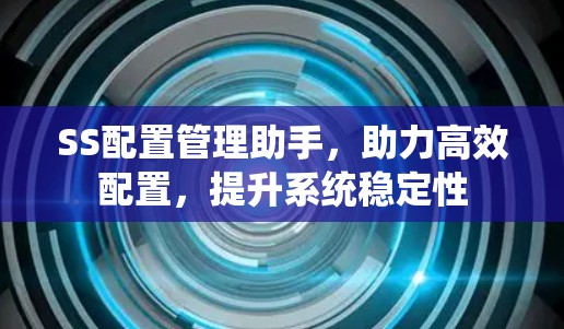 SS配置管理助手，助力高效配置，提升系统稳定性