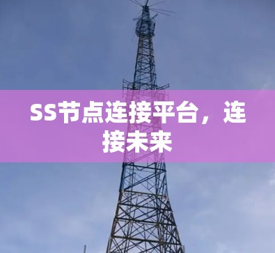 SS节点连接平台,连接未来 SS节点连接平台,连接未来