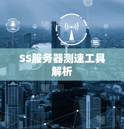 SS服务器测速工具解析