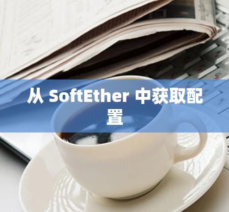 从 SoftEther 中获取配置 从 SoftEther 中获取配置