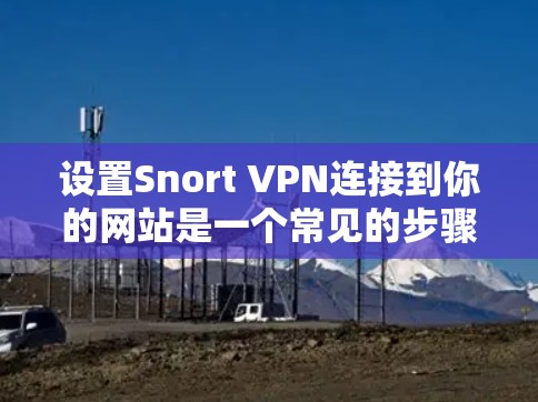 设置Snort VPN连接到你的网站是一个常见的步骤,以下是一个清晰、详细的步骤指南,帮助你顺利完成连接 设置Snort VPN连接到你的网站是一个常见的步骤,以下是一个清晰、详细的步骤指南,帮助你顺利完成连接