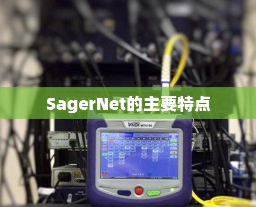 SagerNet的主要特点 SagerNet的主要特点