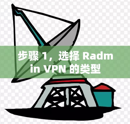 步骤 1，选择 Radmin VPN 的类型