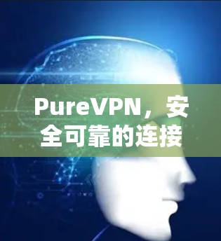 PureVPN,安全可靠的连接,让隐私成为你的选择 PureVPN,安全可靠的连接,让隐私成为你的选择