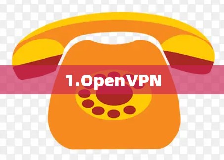 1.OpenVPN 1.OpenVPN